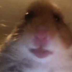 Meet your Posher, Barney